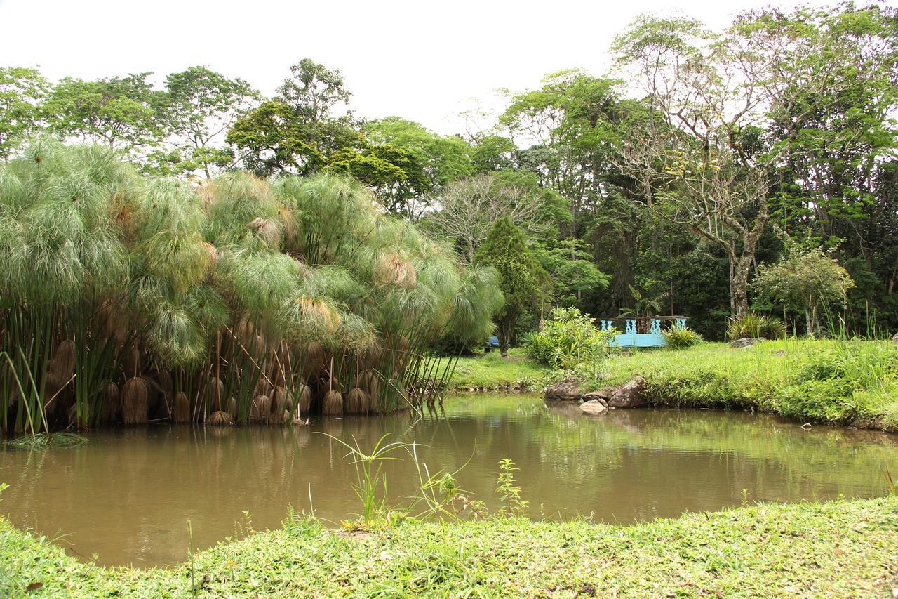 Esmeralda 賓館 Itatiaia (Rio de Janeiro)